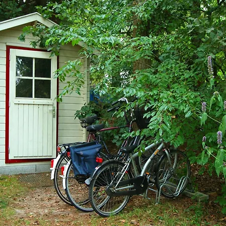 Hébergement de vacances In Near Forest, Cleaning Included
