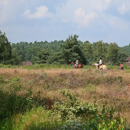 Hébergement de vacances In Near Forest, Cleaning Included